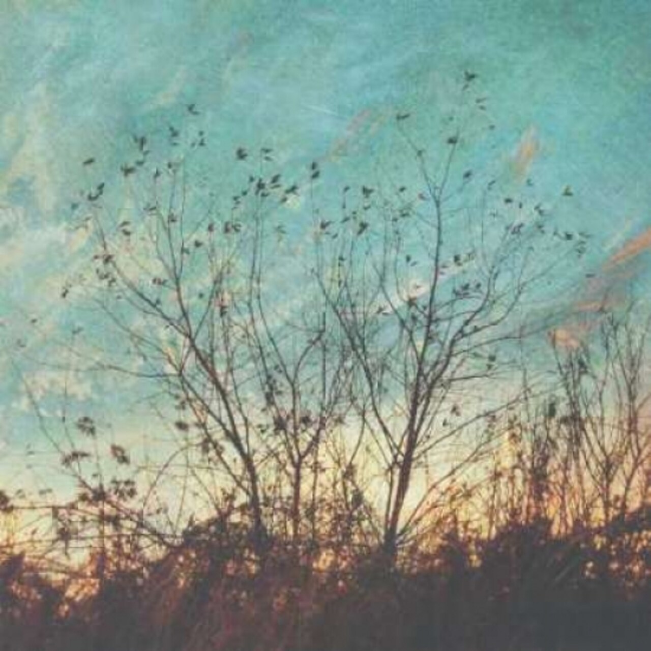 Wild Grass II Poster Print by Amy Melious - Item # VARPDXMEL344